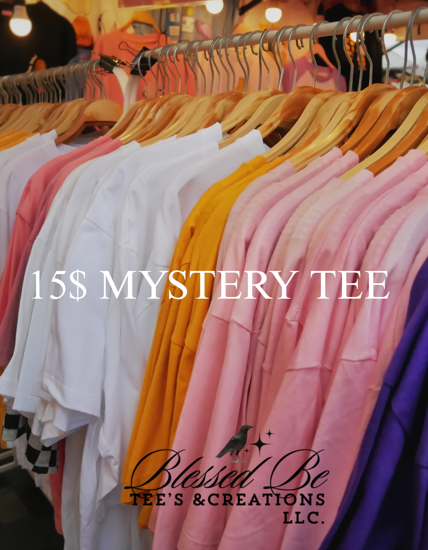 15$ MYSTERY T-SHIRT
