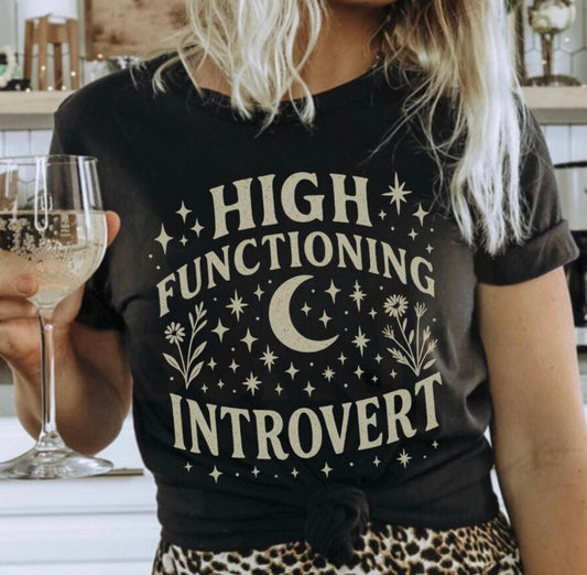 High Functioning Introvert 🌙