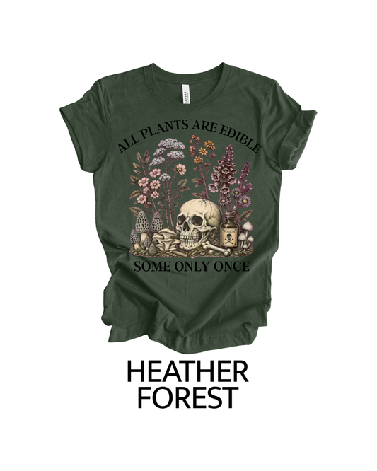Custom Order for Lydia