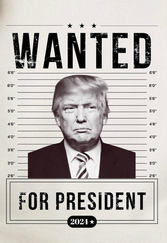 Grey UNISEX T-shirt Wanted For President