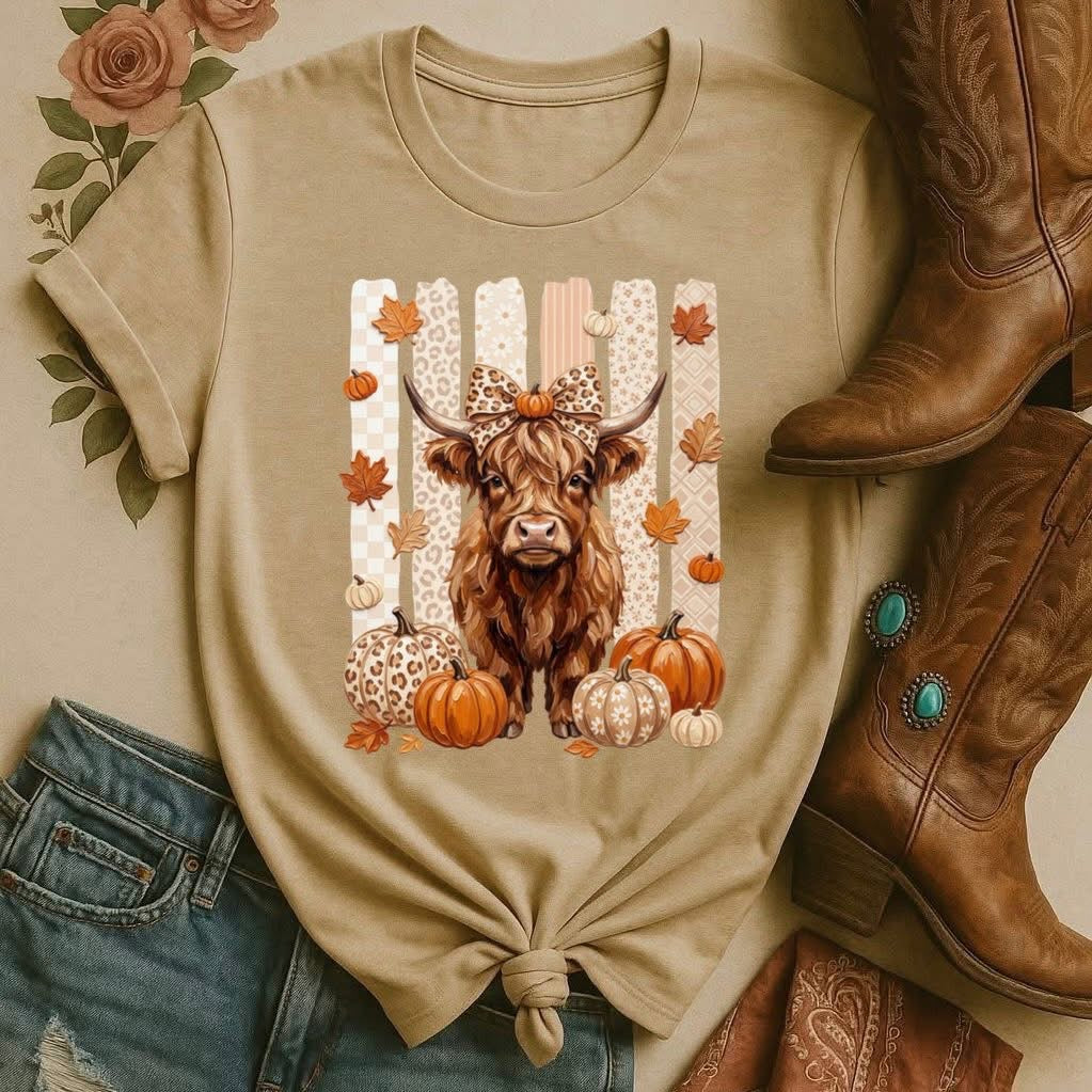 Highland Cows n Pumpkins
